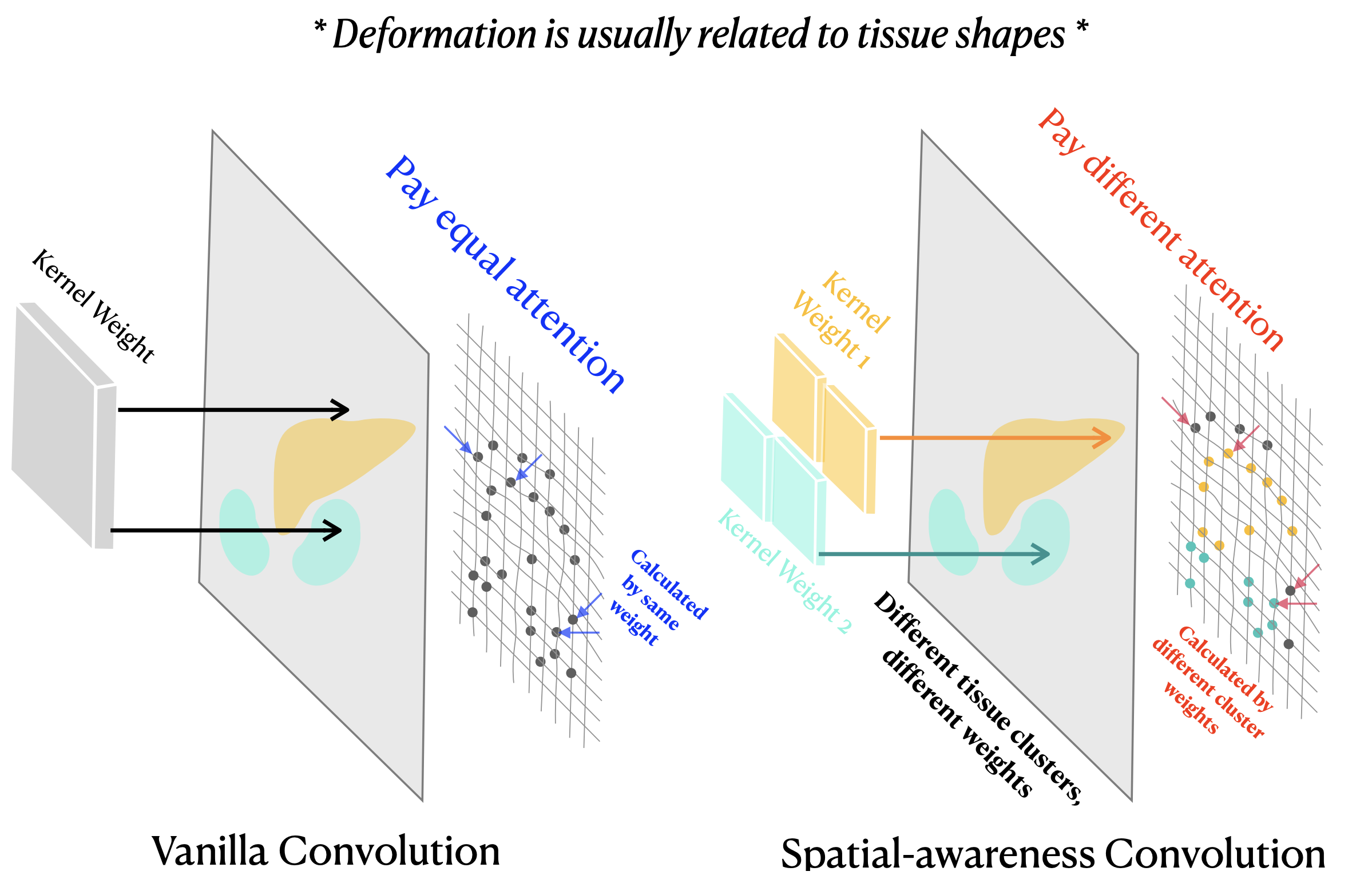 SACB-Net: Spatial-awareness Convolutions for Medical Image Registration