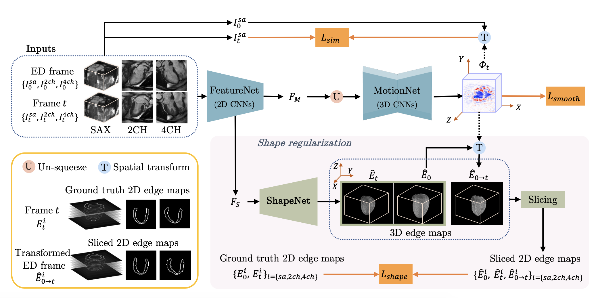 MulViMotion: Shape-aware 3D Myocardial Motion Tracking from Multi-View Cardiac MRI