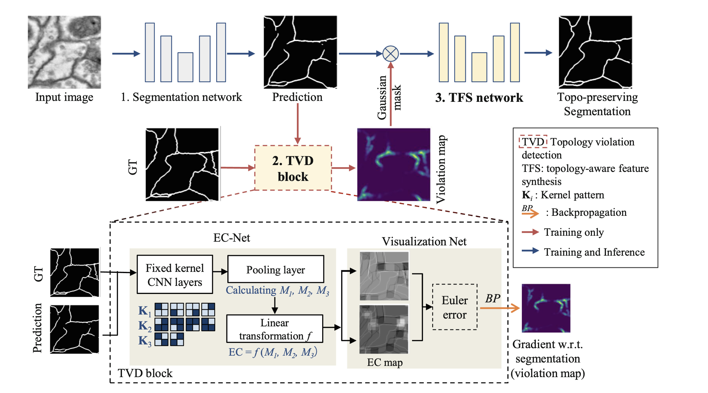 Robust Segmentation via Topology Violation Detection and Feature Synthesis