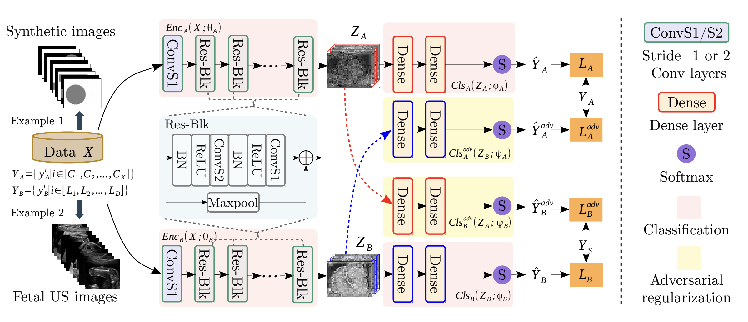 Representation disentanglement for multi-task learning with application to fetal ultrasound